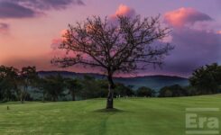 January - Alf De Vincentis (Diverse Urethanes- Era Polymers International Distributor for South Africa)