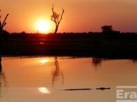 October - Nicolas Dolmaire