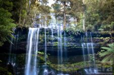 November - Dave Weir