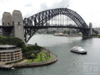 November - Terry Petkovic