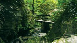 July - Peter Woodfield