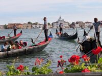 August - George Papamanuel