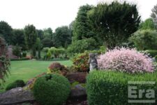 August - George Papamanuel